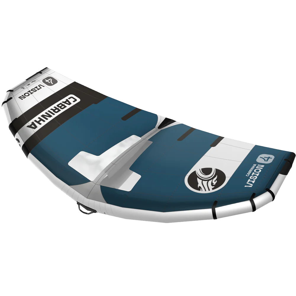 2025 Vision - Image 5